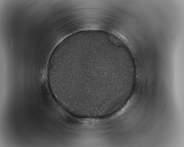 X0000093531081200711091753