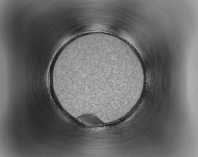 X0000093531082200711091753