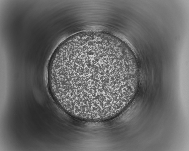 X0000093531083200711091753