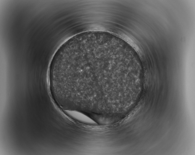X0000093531084200711091753