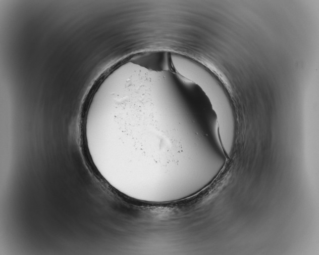 X0000093531085200711091753