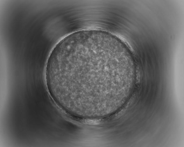X0000093531086200711091753