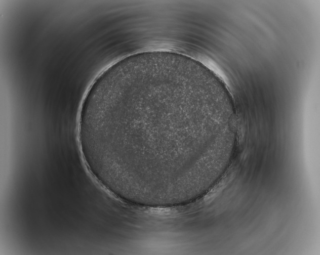 X0000093531088200711091753
