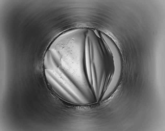 X0000093531089200711091753