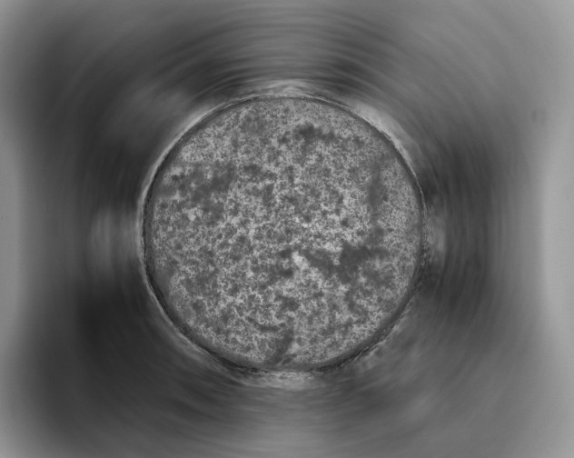 X0000093531090200711091753