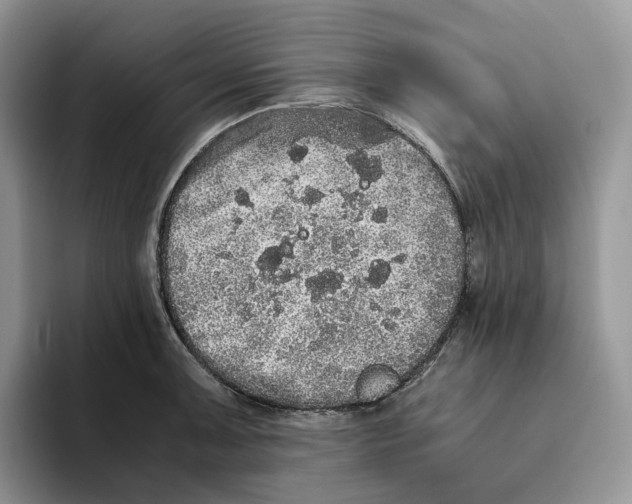 X0000093531091200711091753