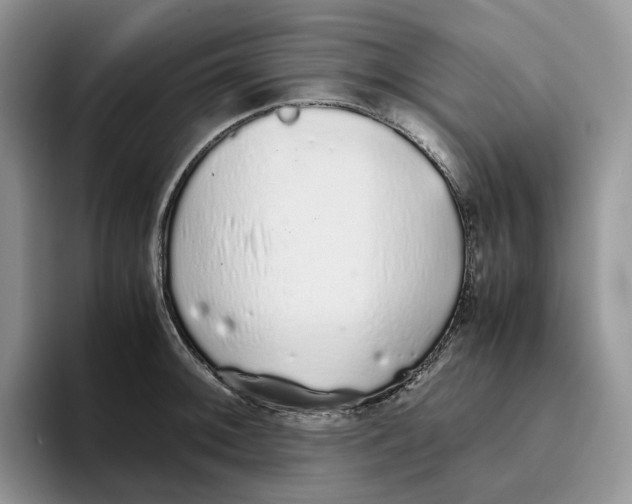X0000093531092200711091753