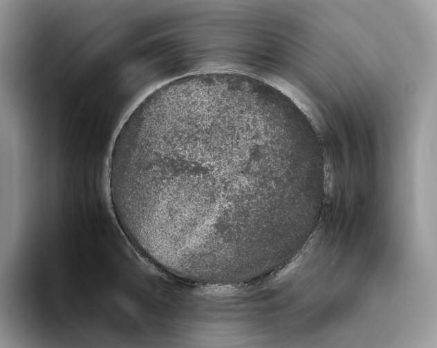 X0000093531094200711091753
