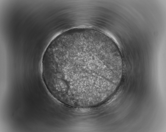 X0000093531095200711091753