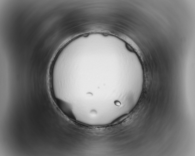 X0000093531096200711091753