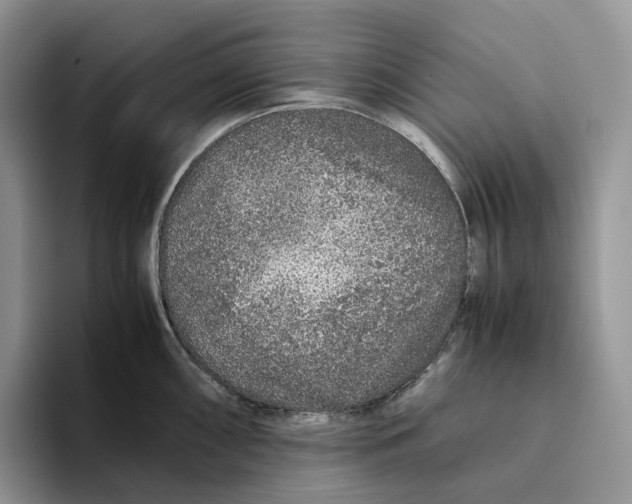 X0000093531098200711091753