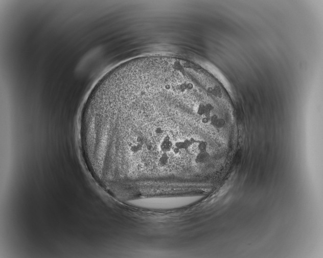 X0000093531099200711091753
