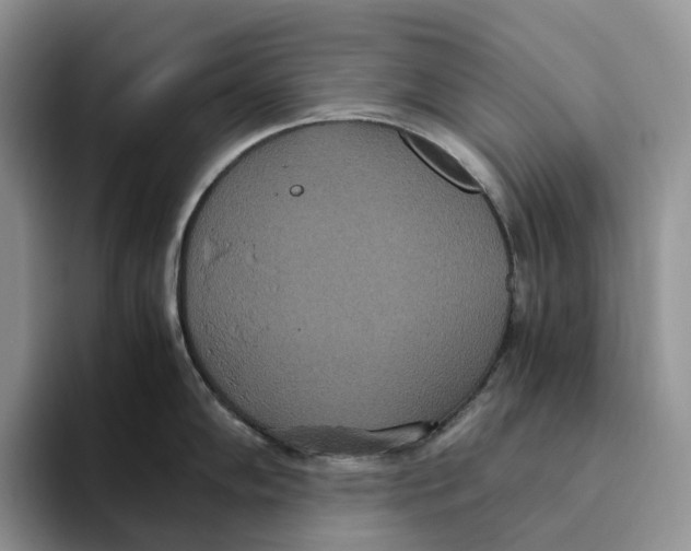 X0000093531102200711091753