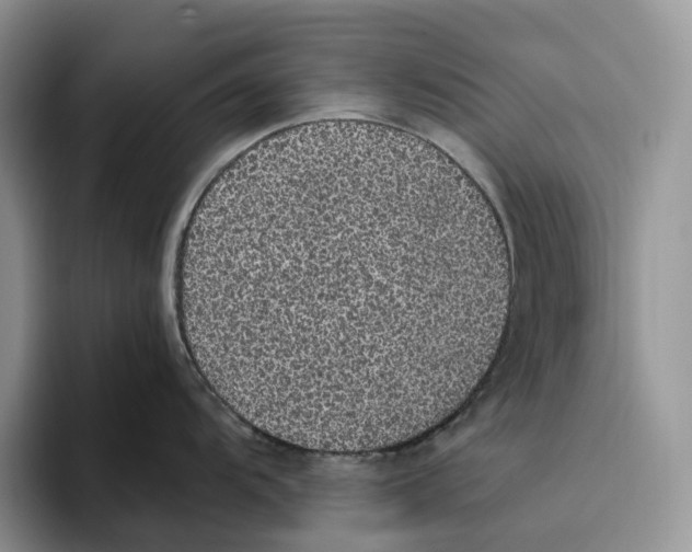 X0000093531104200711091753