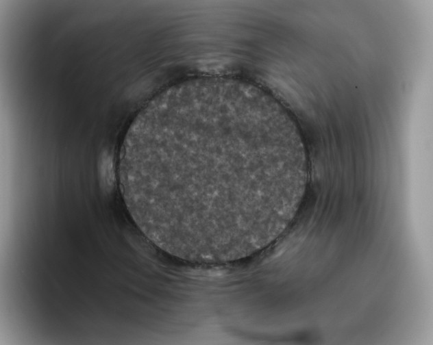 X0000093531106200711091753