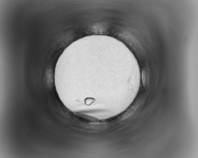 X0000093531107200711091753