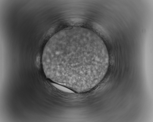 X0000093531108200711091753