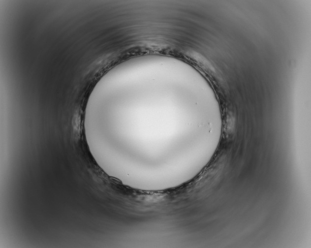 X0000093531110200711091753
