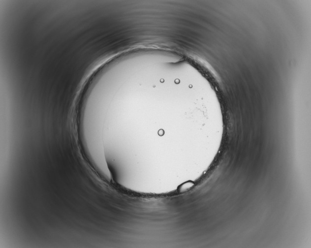 X0000093531114200711091753