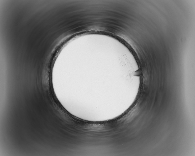 X0000093531115200711091753