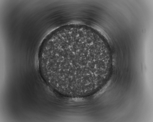 X0000093531117200711091753