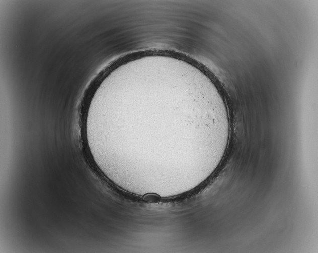 X0000093531118200711091753