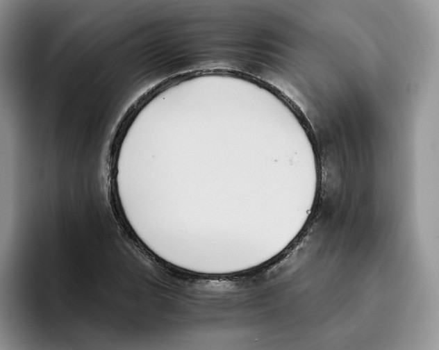 X0000093531119200711091753