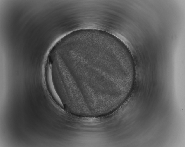 X0000093531120200711091753