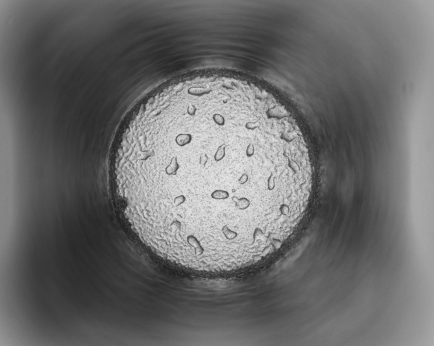 X0000093531121200711091753
