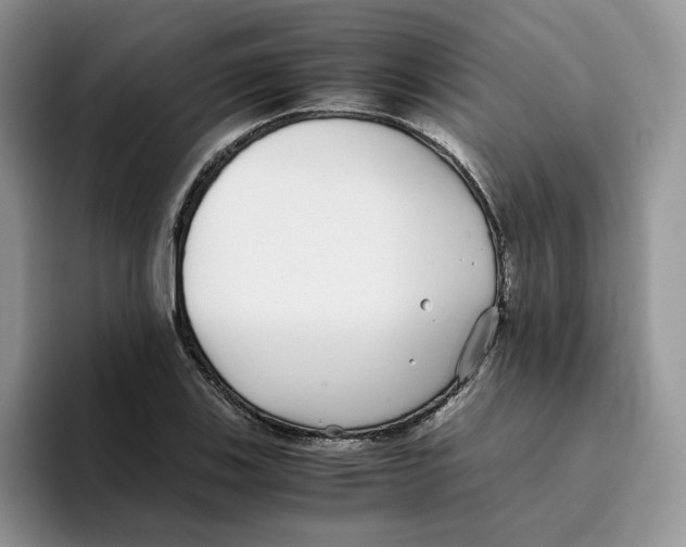 X0000093531123200711091753
