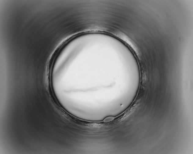 X0000093531124200711091753