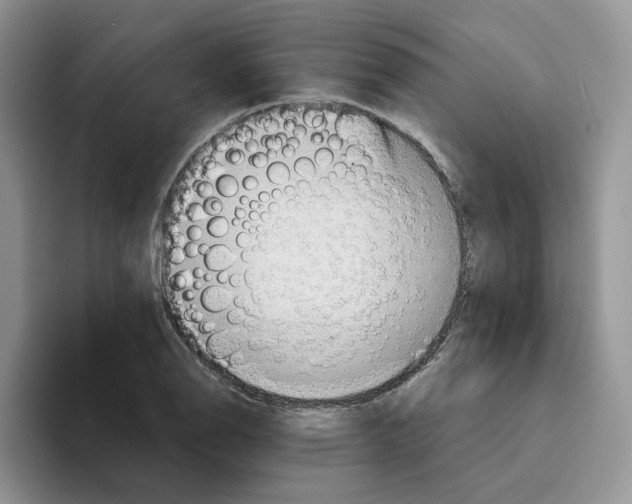 X0000093531126200711091753
