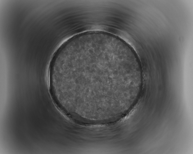 X0000093531127200711091753