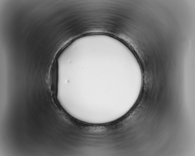 X0000093531129200711091753