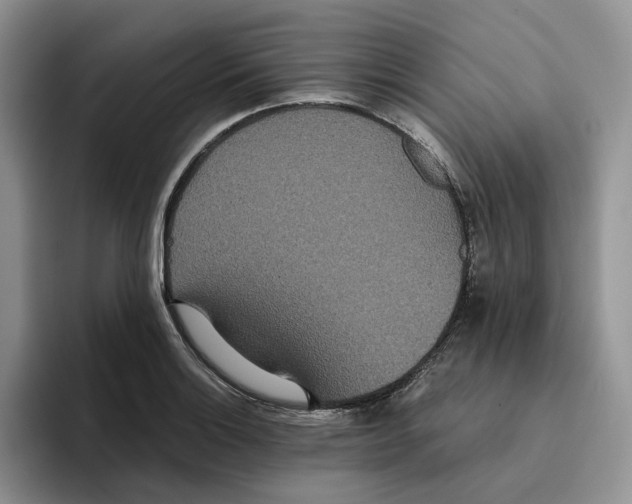 X0000093531132200711091753