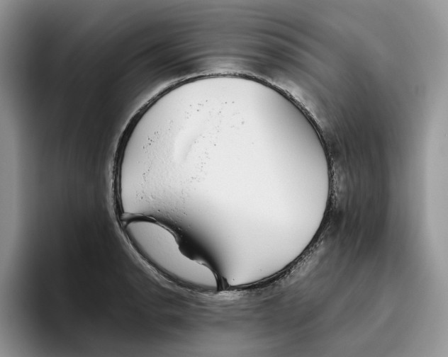 X0000093531134200711091753