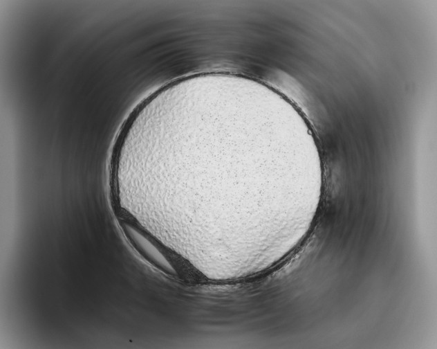 X0000093531135200711091753