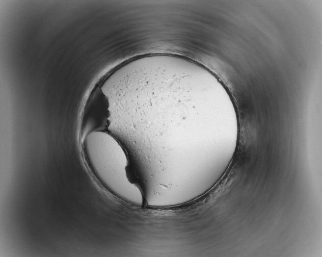 X0000093531136200711091753