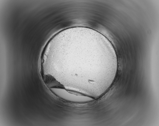 X0000093531140200711091753