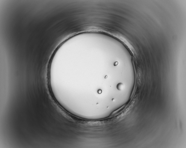 X0000093531142200711091753