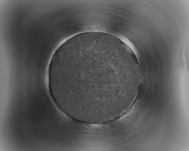 X0000093531144200711091753