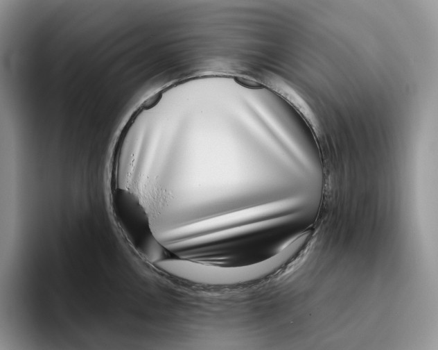X0000093531146200711091753
