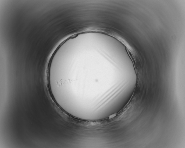 X0000093531148200711091753
