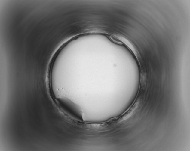 X0000093531149200711091753
