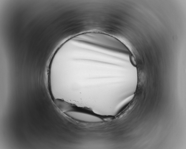 X0000093531151200711091753