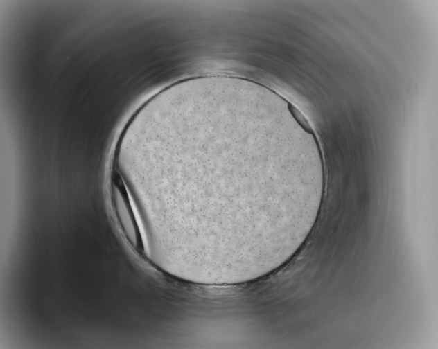 X0000093531152200711091753