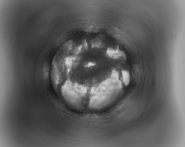 X0000093531154200711091753