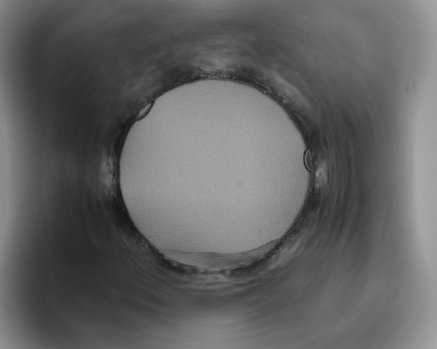 X0000093531156200711091752