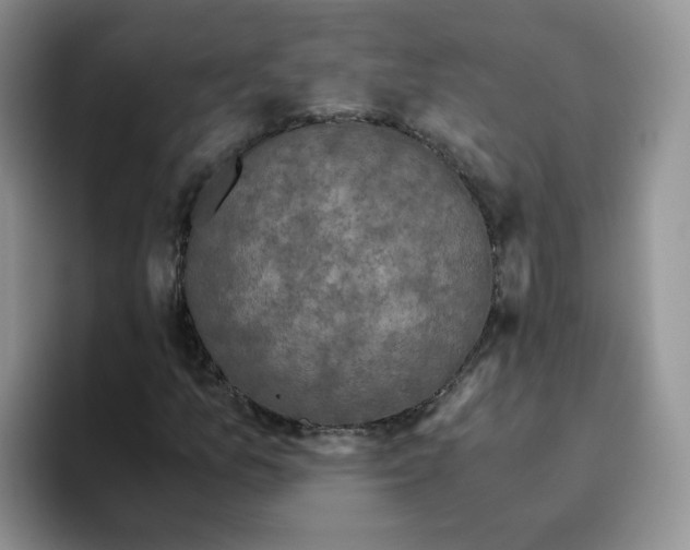 X0000093531157200711091752