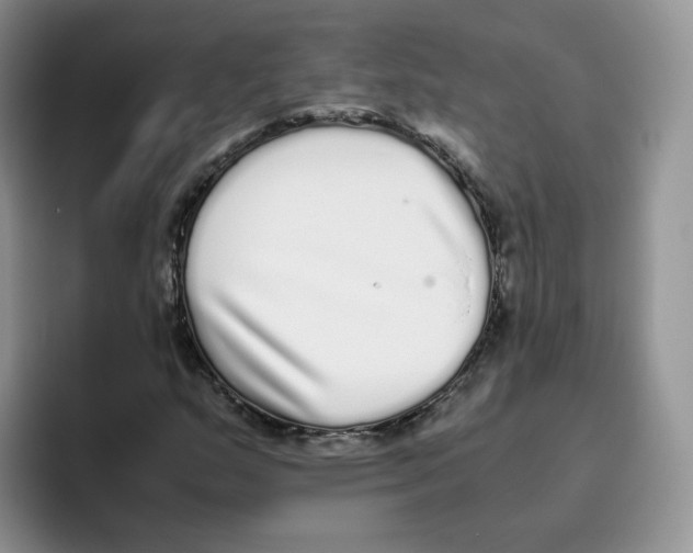 X0000093531159200711091752